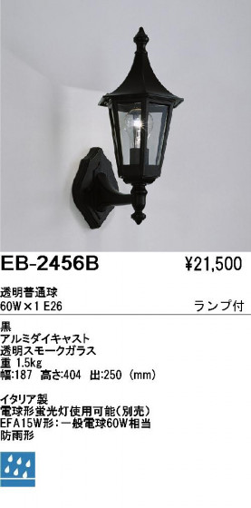 ƣ ENDO ȥɥ EB-2456B