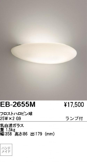 ƣ ENDO ֥饱å EB-2655M