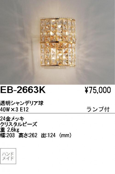 ƣ ENDO ֥饱å EB-2663K