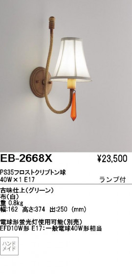 ƣ ENDO ֥饱å EB-2668X