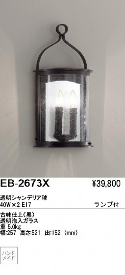 ƣ ENDO ֥饱å EB-2673X