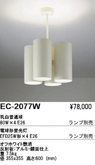 ƣ ENDO ǥꥢ EC-2077W