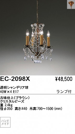 ƣ ENDO ǥꥢ EC-2098X