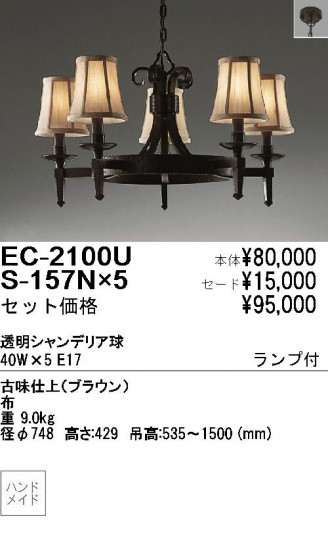 ƣ ENDO ǥꥢ EC2100U+S157N5