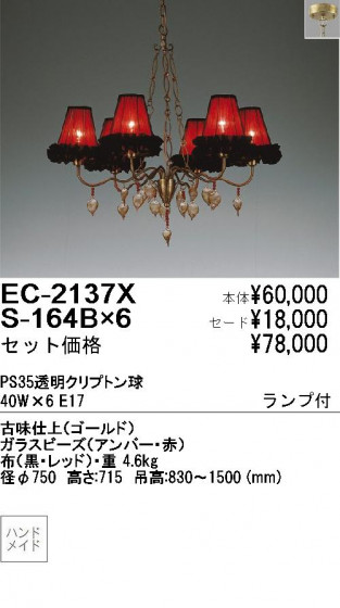 ƣ ENDO ǥꥢ EC2137X+S164B6