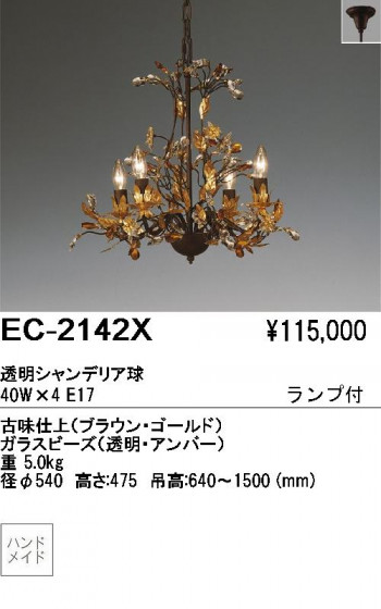 ƣ ENDO ǥꥢ EC-2142X