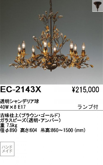 ƣ ENDO ǥꥢ EC-2143X