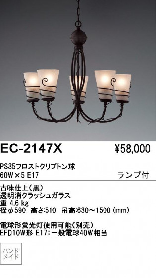 ƣ ENDO ǥꥢ EC-2147X