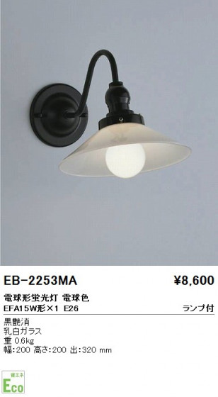 ƣ ENDO ֥饱å EB-2253MA