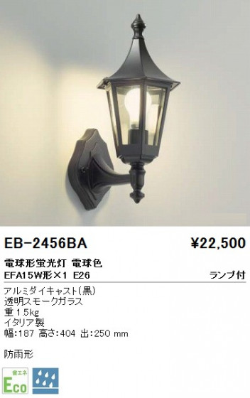 ƣ ENDO ȥɥ EB-2456BA