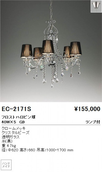 ƣ ENDO ǥꥢ EC-2171S