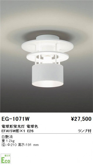 ƣ ENDO  EG-1071W