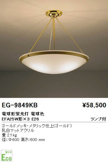 ƣ ENDO  EG-9849KB