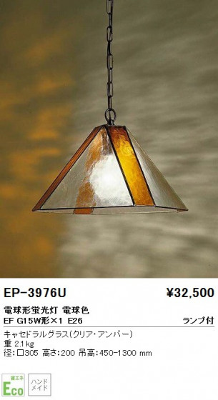 ƣ ENDO ڥ EP-3976U