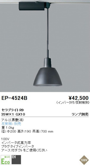 ƣ ENDO ڥ EP-4524B