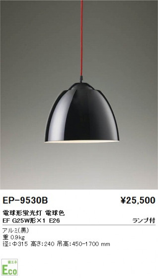 ƣ ENDO ڥ EP-9530B