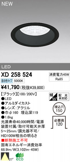 ODELIC ǥå LED饤 XD258524 ᥤ̿