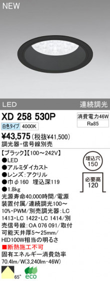 ODELIC ǥå LED饤 XD258530P ᥤ̿