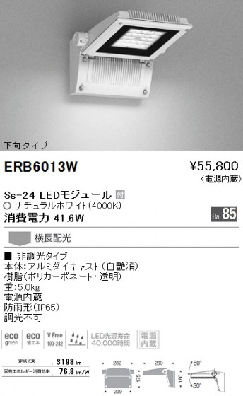 ƣ ENDO LED ȥɥ ERB6013W ᥤ̿