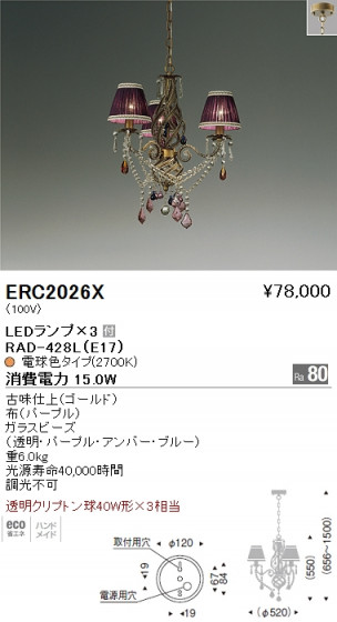 ƣ ENDO LED ǥꥢ ERC2026X ᥤ̿
