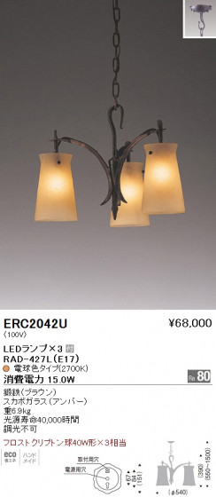 ƣ ENDO LED ǥꥢ ERC2042U ᥤ̿