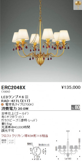 ƣ ENDO LED ǥꥢ ERC2048X ᥤ̿