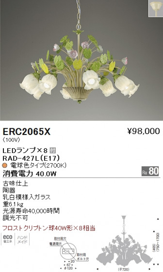 ƣ ENDO LED ǥꥢ ERC2065X ᥤ̿