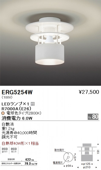 ƣ ENDO LED  ERG5254W ᥤ̿