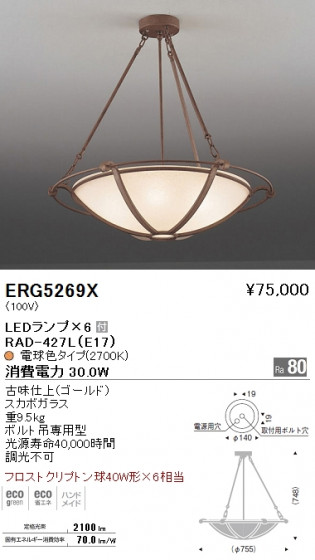 ƣ ENDO LED  ERG5269X ᥤ̿