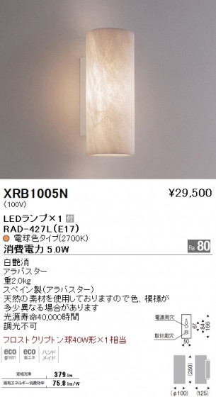 ƣ ENDO LED ֥饱å XRB1005N ᥤ̿