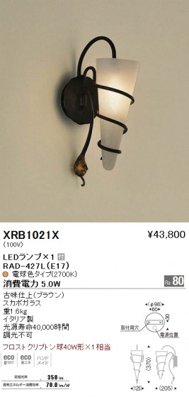 ƣ ENDO LED ֥饱å XRB1021X ᥤ̿