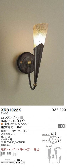 ƣ ENDO LED ֥饱å XRB1022X ᥤ̿