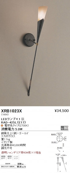 ƣ ENDO LED ֥饱å XRB1023X ᥤ̿
