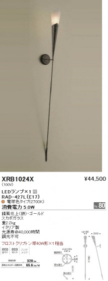 ƣ ENDO LED ֥饱å XRB1024X ᥤ̿