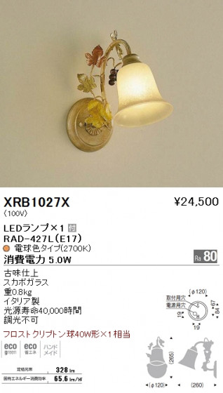 ƣ ENDO LED ֥饱å XRB1027X ᥤ̿