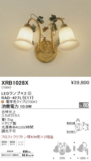 ƣ ENDO LED ֥饱å XRB1028X ᥤ̿