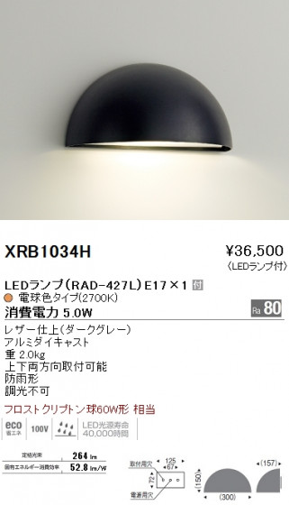 ƣ ENDO LED ȥɥ XRB1034H ᥤ̿
