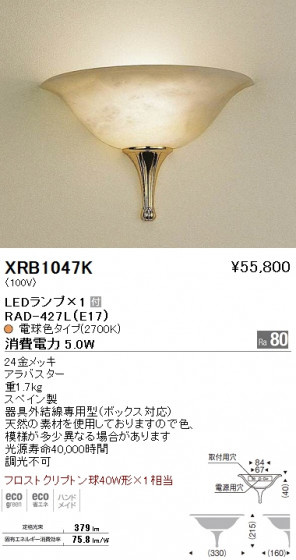ƣ ENDO LED ֥饱å XRB1047K ᥤ̿