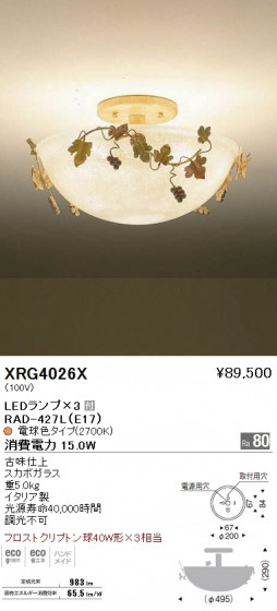 ƣ ENDO LED  XRG4026X ᥤ̿