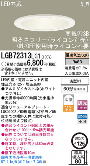 Panasonic LED饤 LGB72313LG1 ᥤ̿