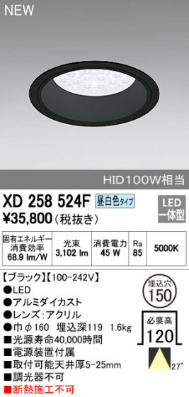 ODELIC ǥå 饤 XD258524F ᥤ̿