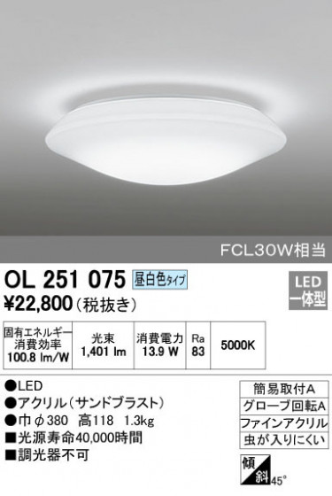 ODELIC ǥå 󥰥饤 OL251075 ᥤ̿