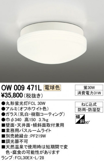 ODELIC ǥå ƥꥢ饤 OW009471L ᥤ̿