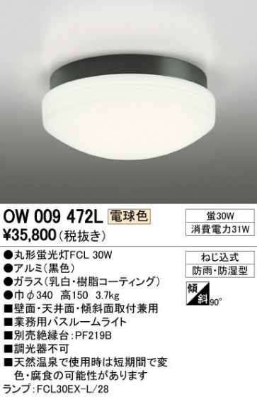 ODELIC ǥå ƥꥢ饤 OW009472L ᥤ̿