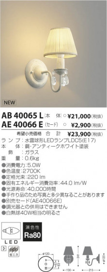 ߾ KOIZUMI LED֥饱å AB40065L β