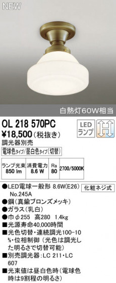 ODELIC ǥå 󥰥饤 OL218570PC ñʲ