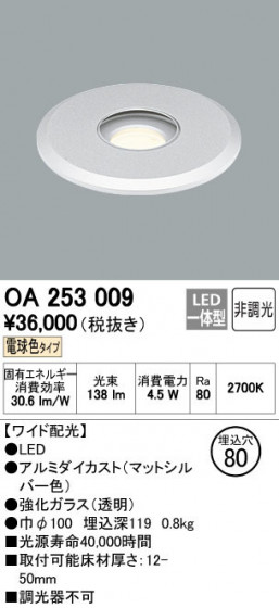 ODELIC ǥå եåȥ饤 OA253009 ñʲ
