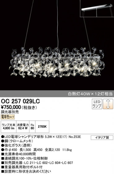 ODELIC ǥå ǥꥢ OC257029LC ñʲ