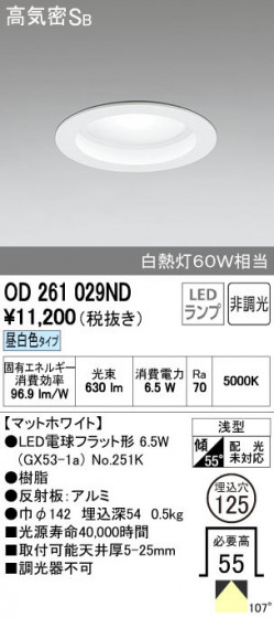 ODELIC ǥå 饤 OD261029ND ñʲ