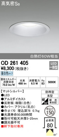 ODELIC ǥå ƥꥢ饤 OD261405 ñʲ